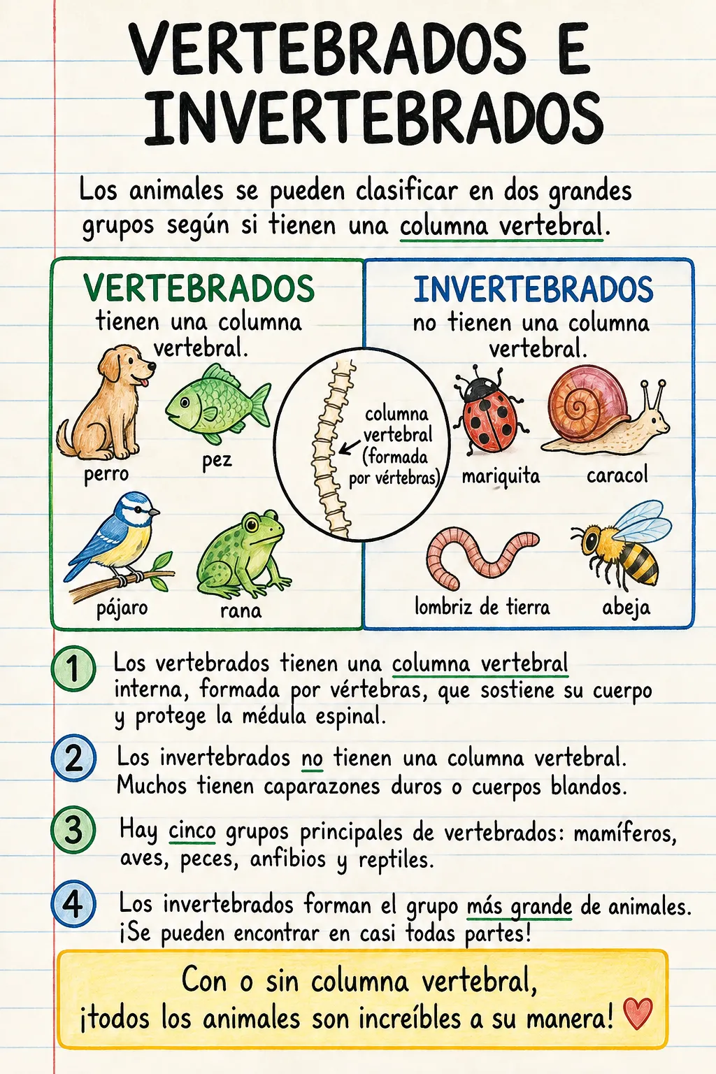 Vertebrados e invertebrados: una ficha informativa ilustrada de una página para primaria.